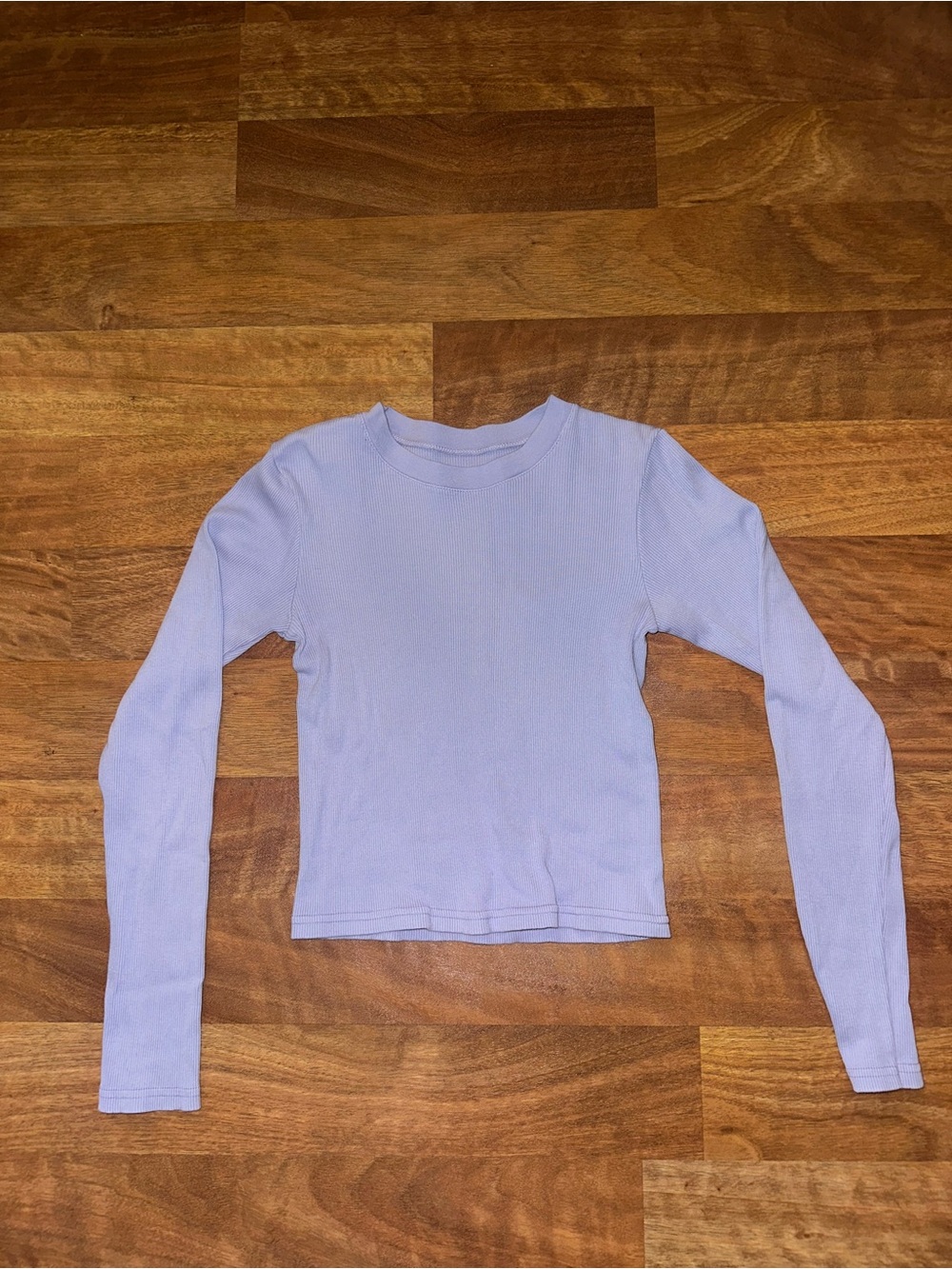 Ribbed Cotton Brandy Melville Long Sleeve Crewneck Top - Lilac